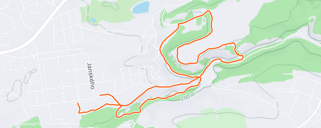 Карта физической активности (Night Trail Run)