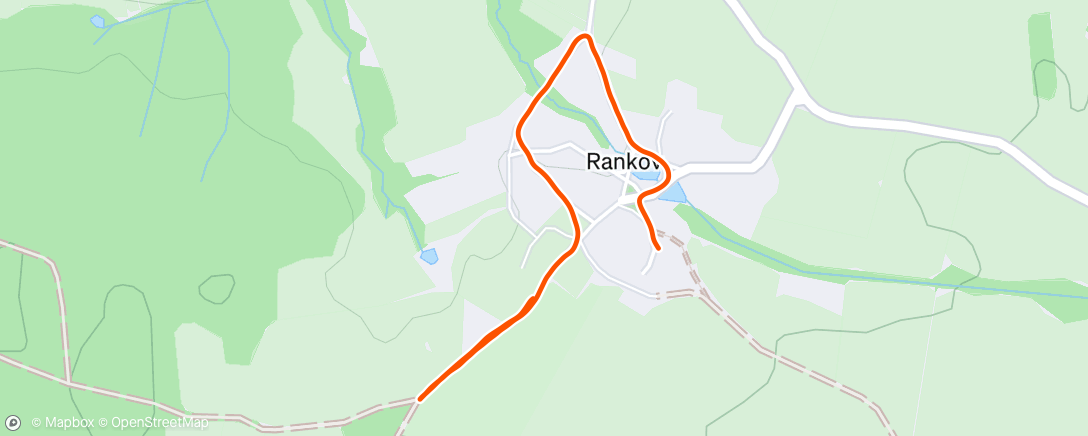 Map of the activity, Morning Run