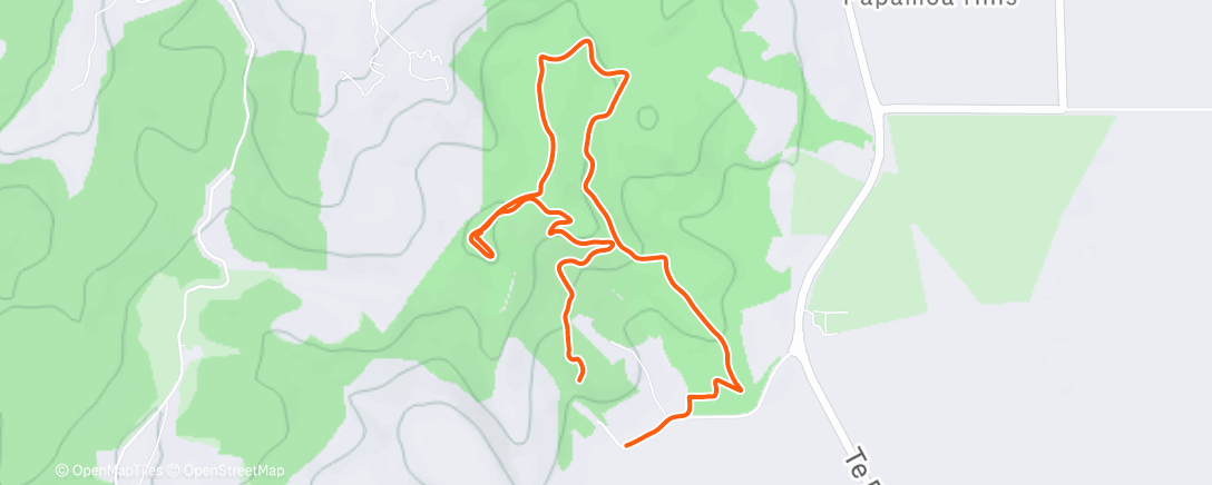Map of the activity, Morning Trail Run