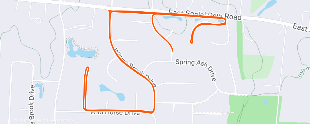 Map of the activity, Morning Run