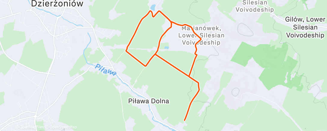 Map of the activity, Morning Run