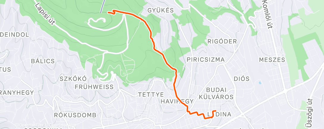 Карта физической активности (Morning Walk)