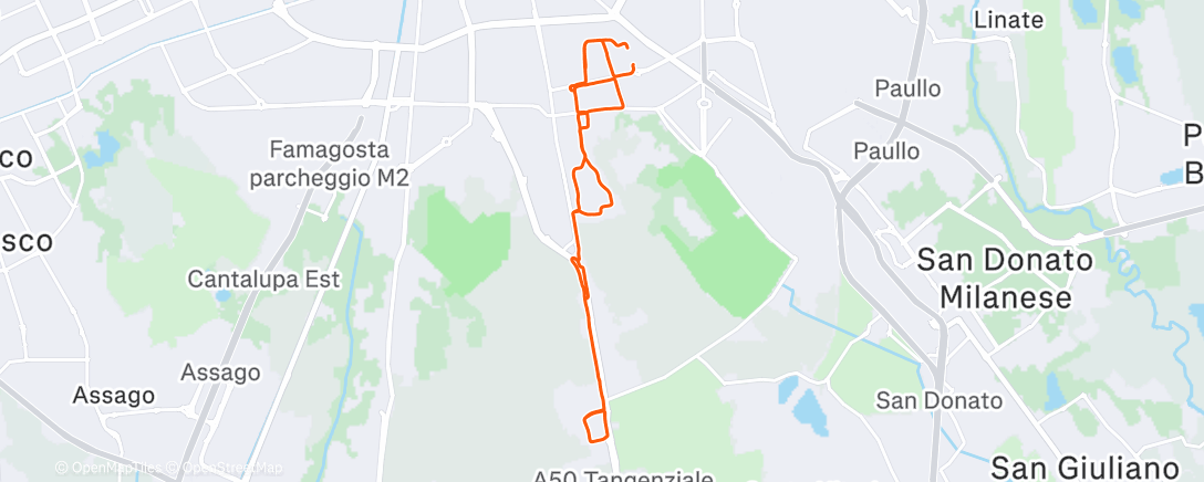 Карта физической активности (Morning Run)