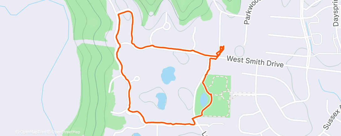 Map of the activity, 🌙 Night Dog Walk