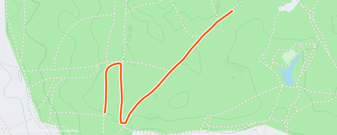 Карта физической активности (Evening Nordic Ski)