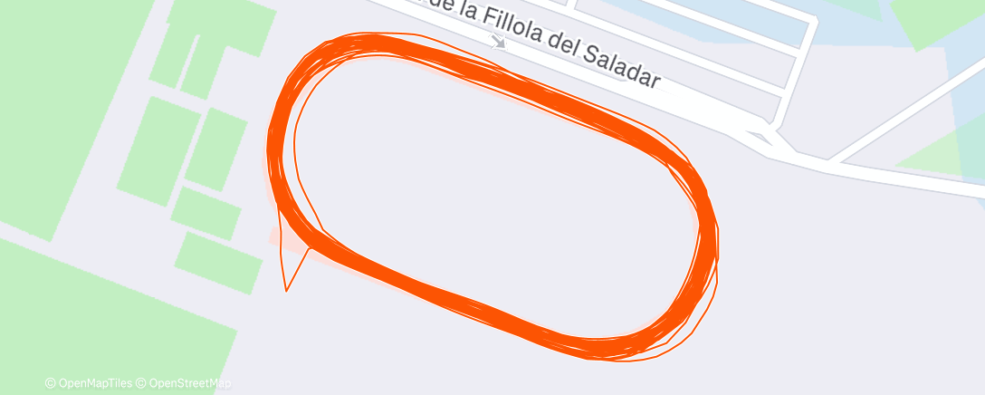 Mapa de la actividad (Morning Run)