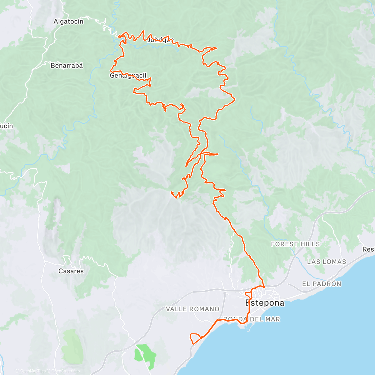 Карта физической активности (🍭)