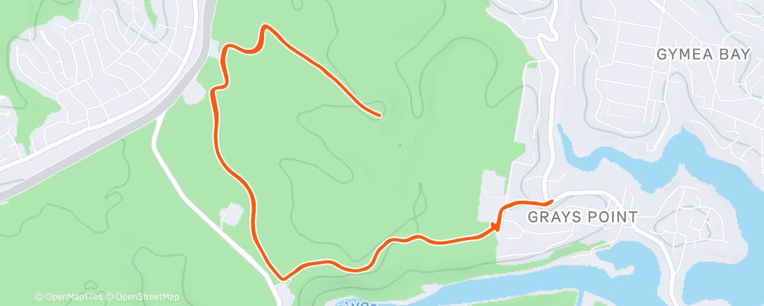 Карта физической активности (NYE trail social)