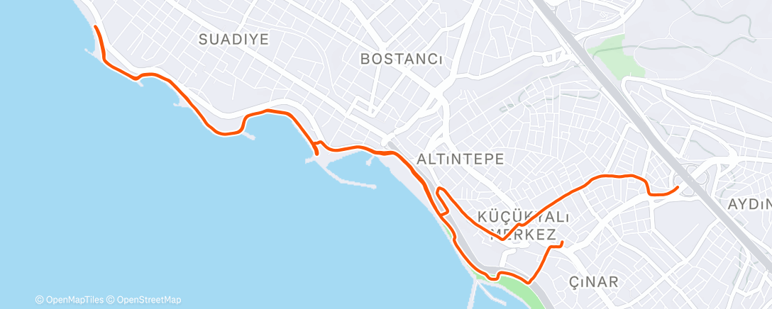 Карта физической активности (Evening Run)