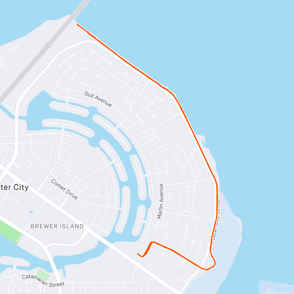 Карта физической активности (Foster City)