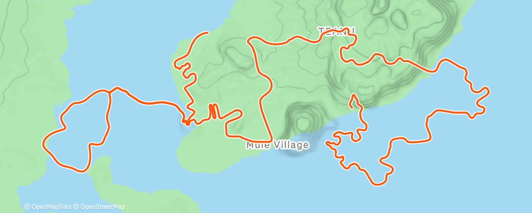 Map of the activity, Zwift - Watts of the Wild in Watopia