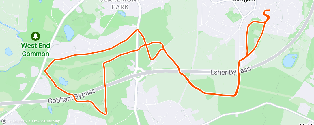 Map of the activity, Low energy slog round Esher Common