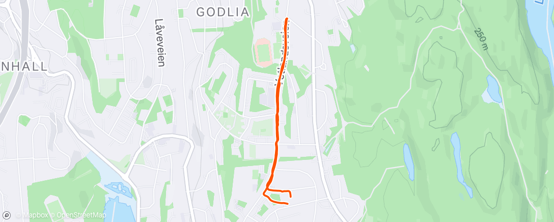 Map of the activity, Luftetur med Tempo 🐶