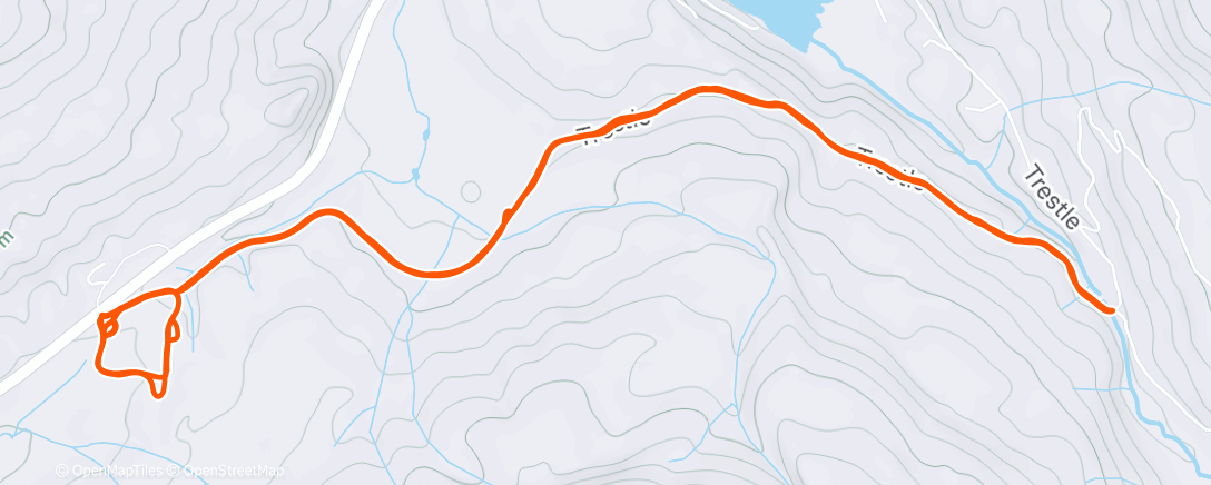 Map of the activity, Trout