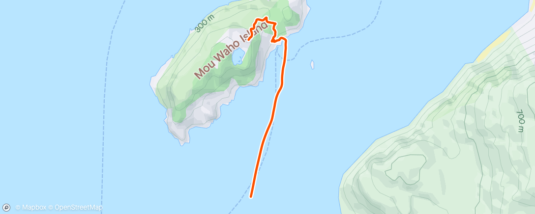 Kaart van de activiteit “Mou Waho island walk (on Lake Wānaka) but forgot to press start … and forgot to press finish 🤔”