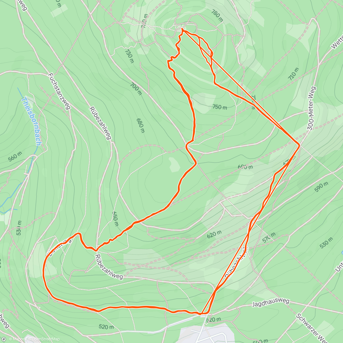 Map of the activity, Taunus Loop Spendenlauf für Tree Athlete e.V.