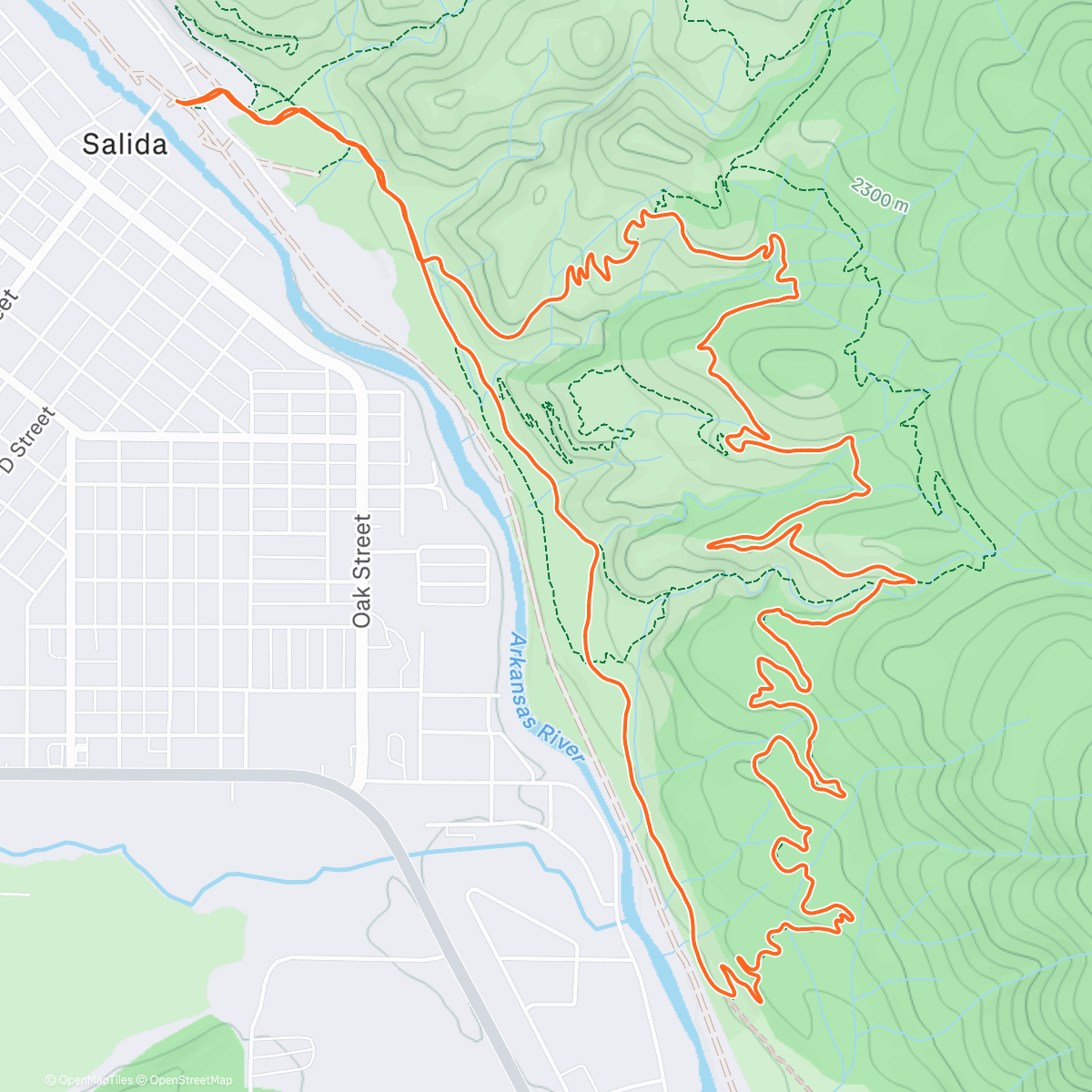 Carte de l'activité Easy Evening trail miles under the Wolf Moon 🌕