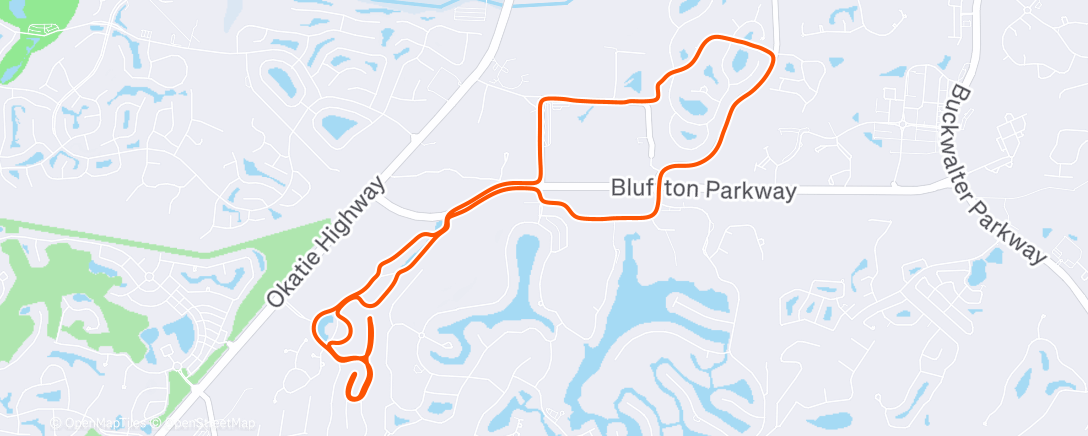 Карта физической активности (Morning Run)