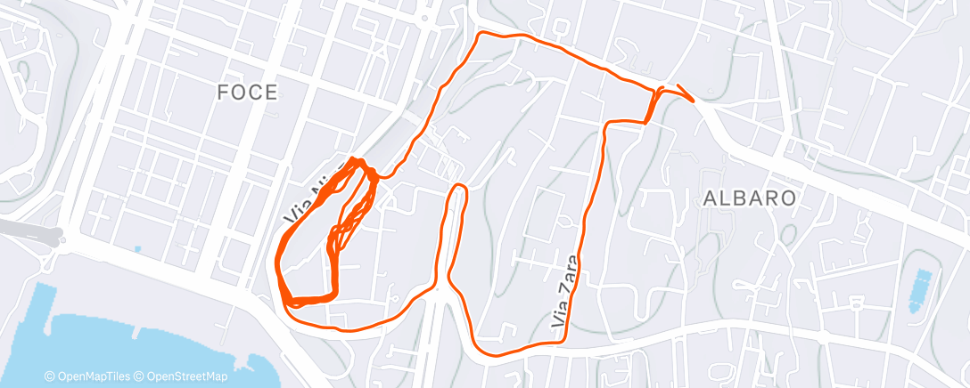 Карта физической активности (🇮🇹 Run 🏴󠁧󠁢󠁥󠁮󠁧󠁿 Albaro 🤐 10K at Scalinata Guerrieri #100trappsteg🇮🇹genova)