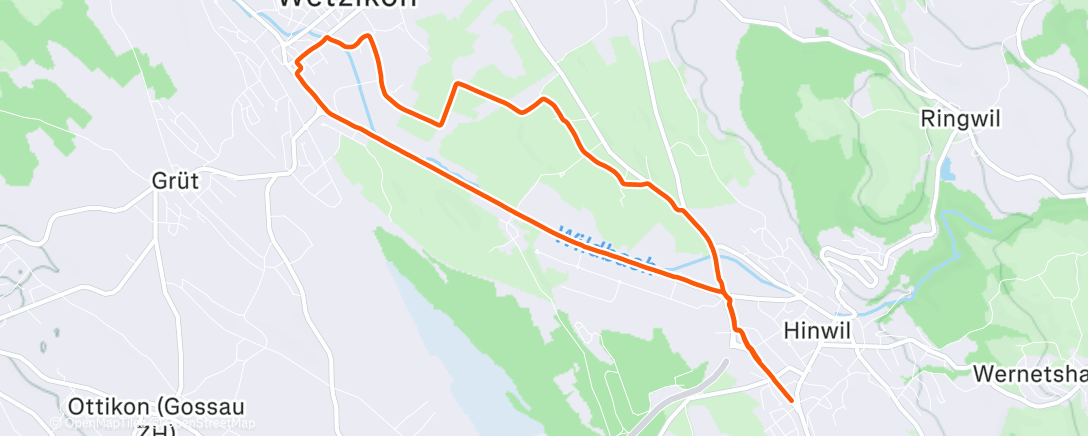 Map of the activity, Morning Run