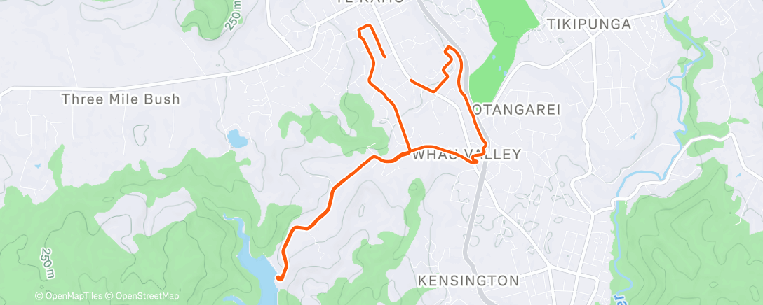 Map of the activity, Afternoon Run