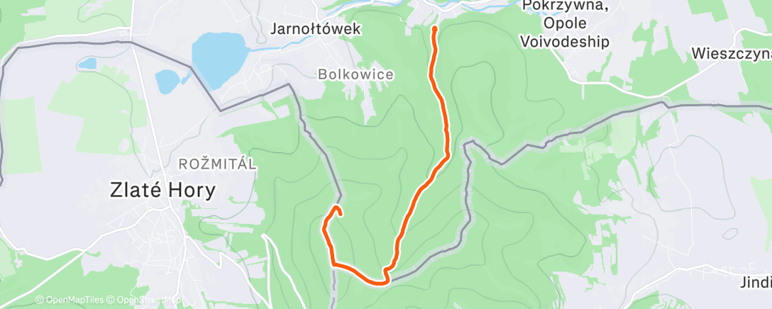 Карта физической активности (Morning Hike)