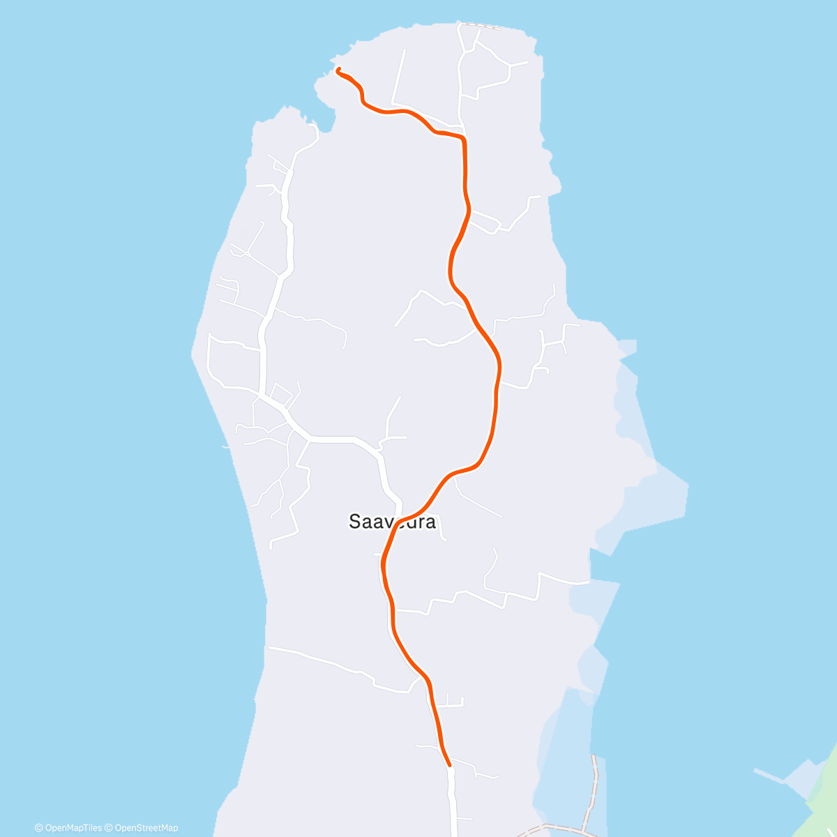 Карта физической активности (Moaboal Morning Run 🇵🇭)