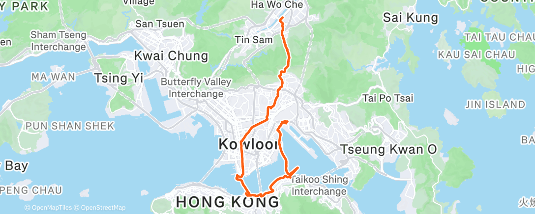 Map of the activity, Morning Run