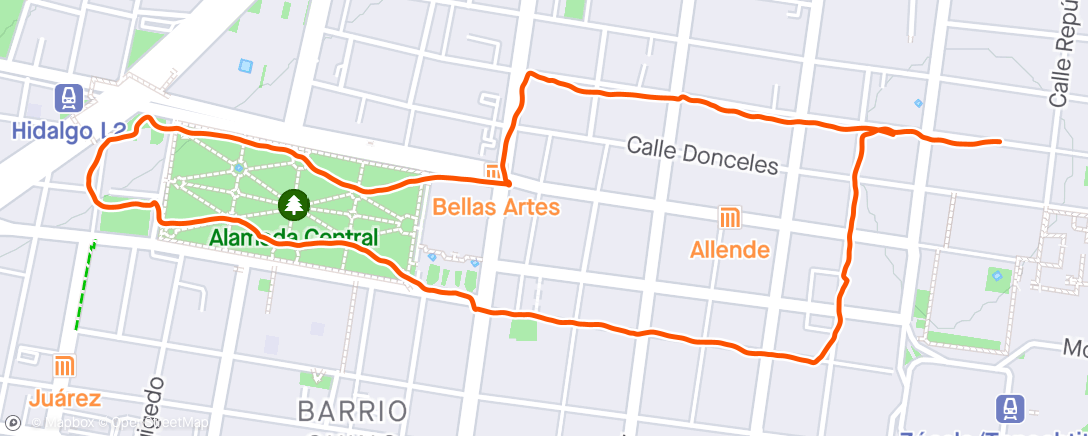 Mapa de la actividad, Mexico City my lungs hurt run