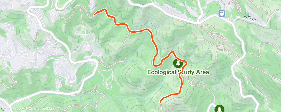 Map of the activity, Afternoon Run