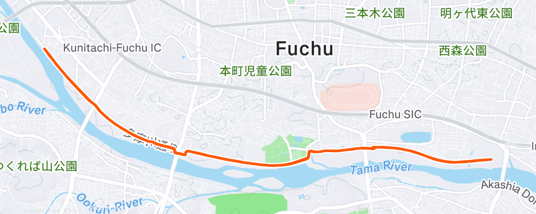 Map of the activity, ハーフで断念