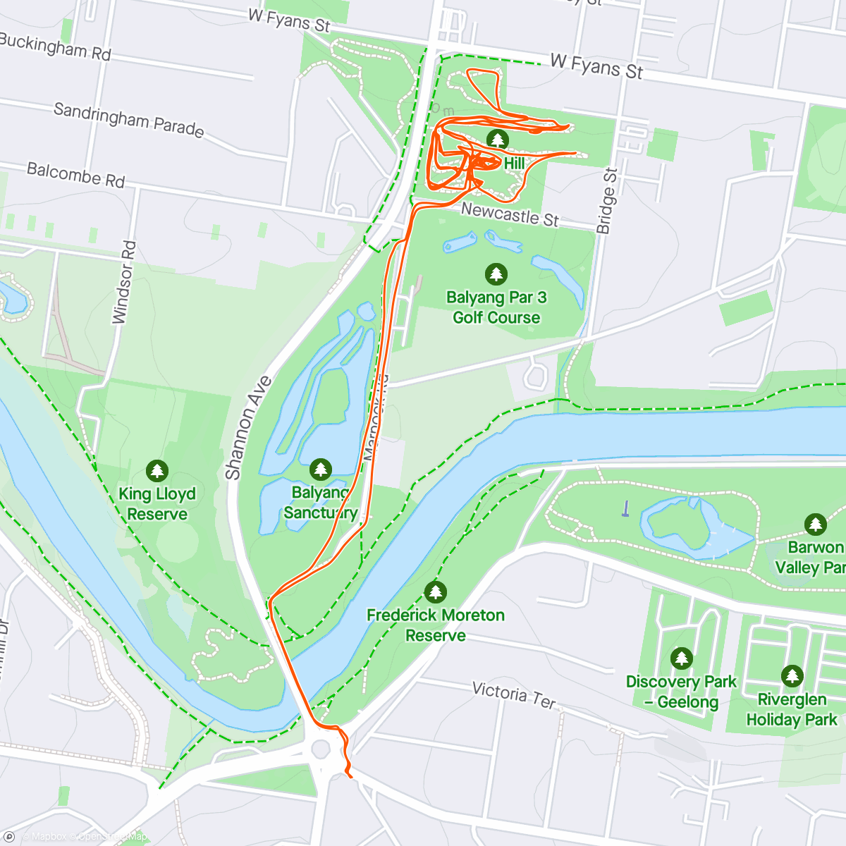 Map of the activity, Hill action