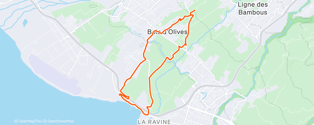 Карта физической активности (Course à pied dans l'après-midi)