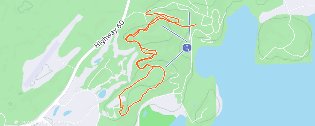 Карта физической активности (Morning Trail Run)