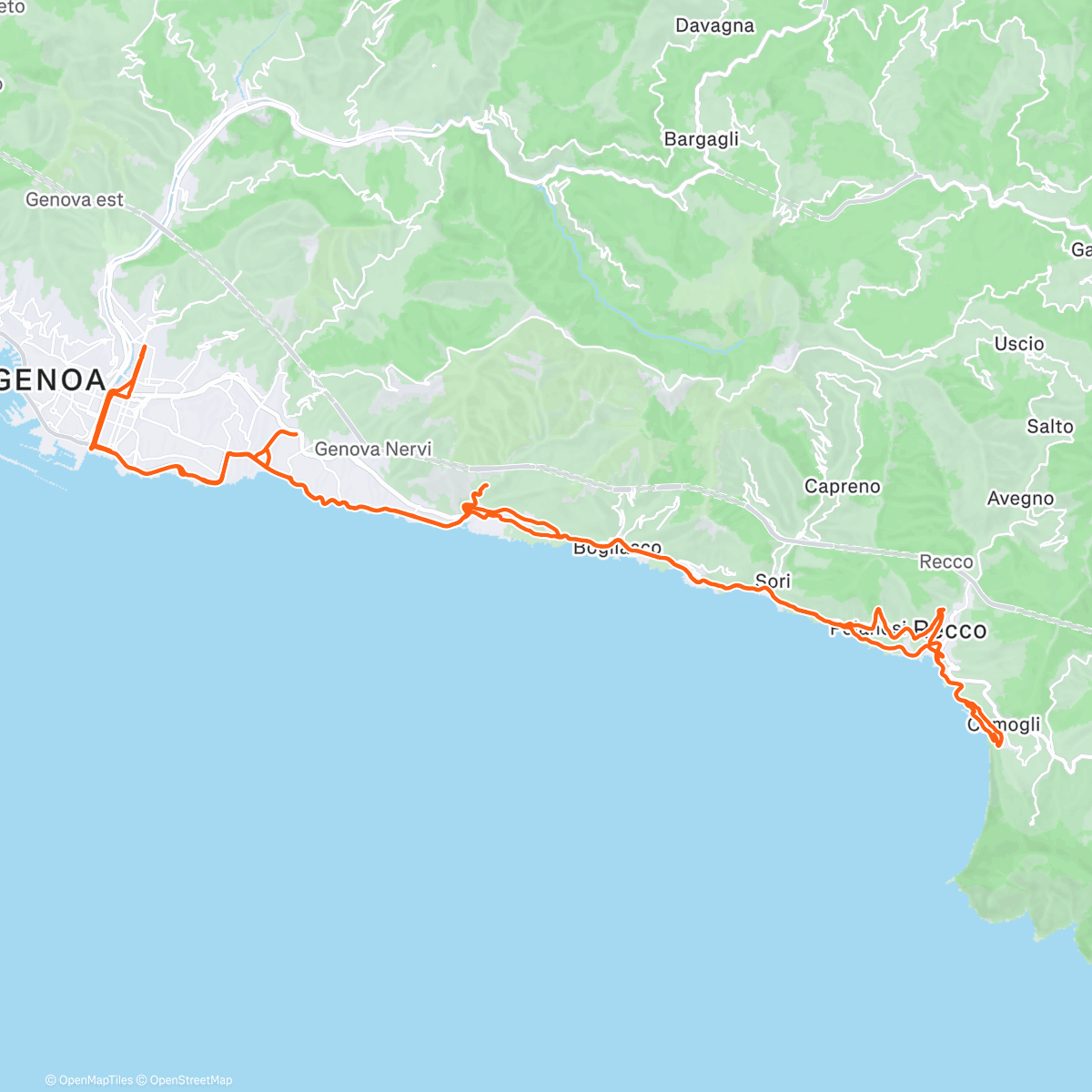 Карта физической активности (Torque)