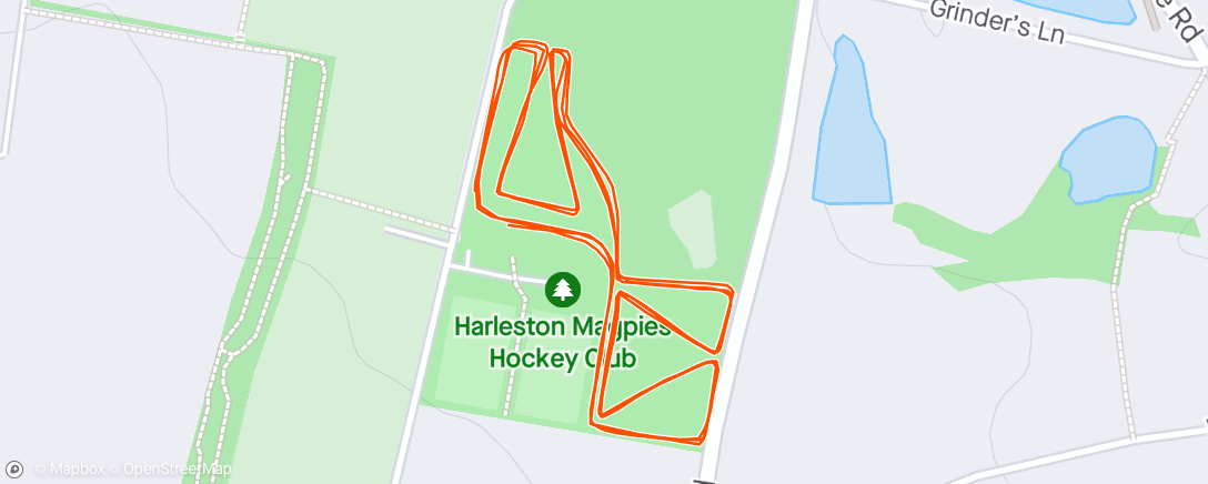 Mapa da atividade, Harleston Parkrun