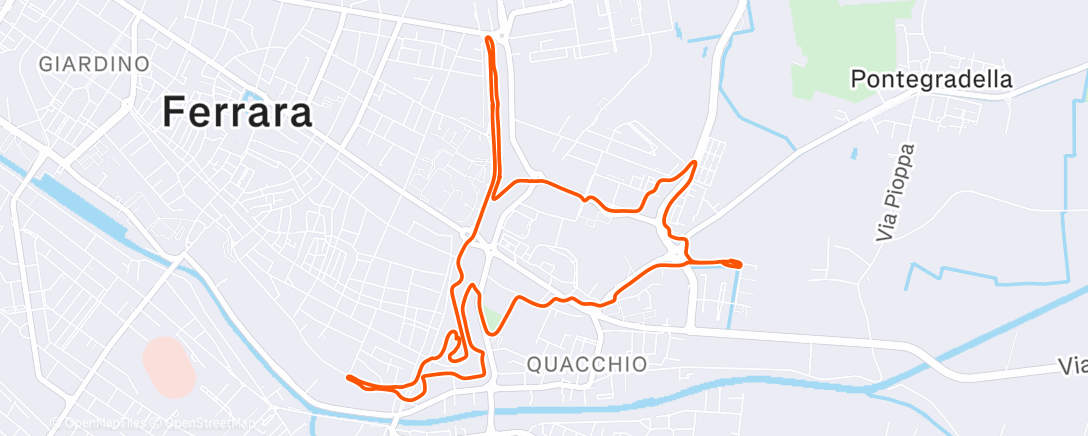 Peta aktivitas, Morning Walk. Penny è tutta  moia