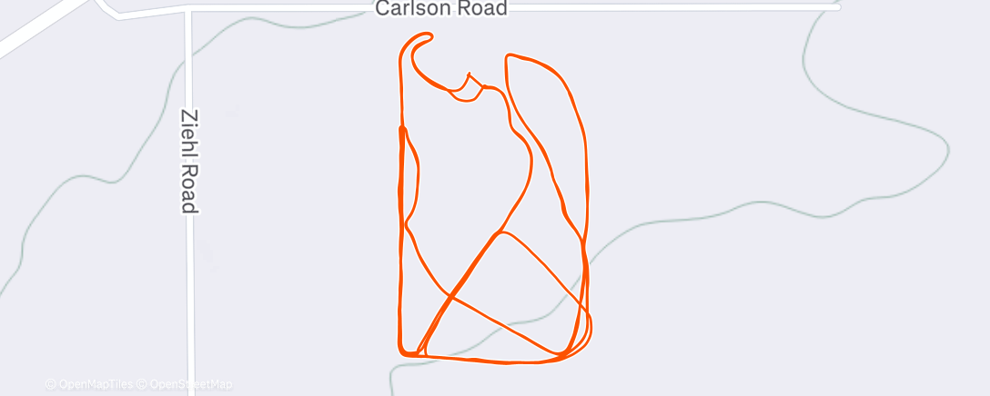 Карта физической активности (Afternoon Nordic Ski)