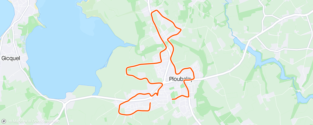Map of the activity, Course à pied 2,5kms avec Paolo