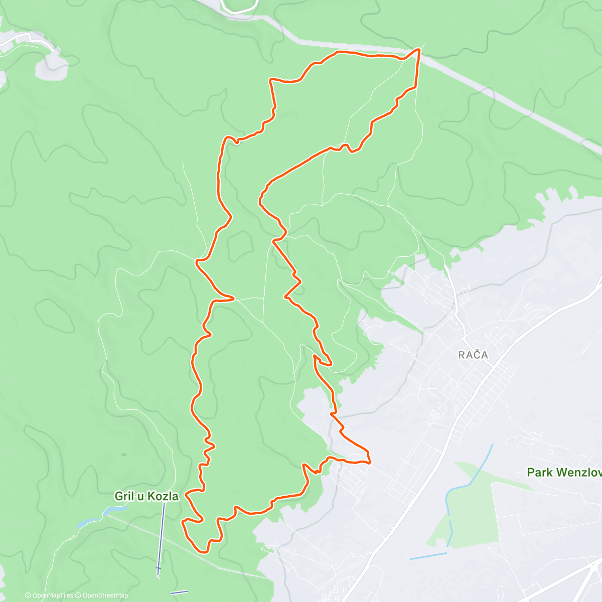 Карта физической активности (Morning Run)