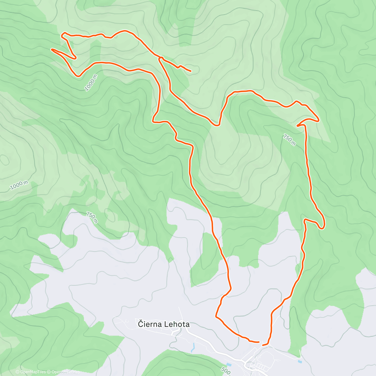 Map of the activity, Afternoon Run