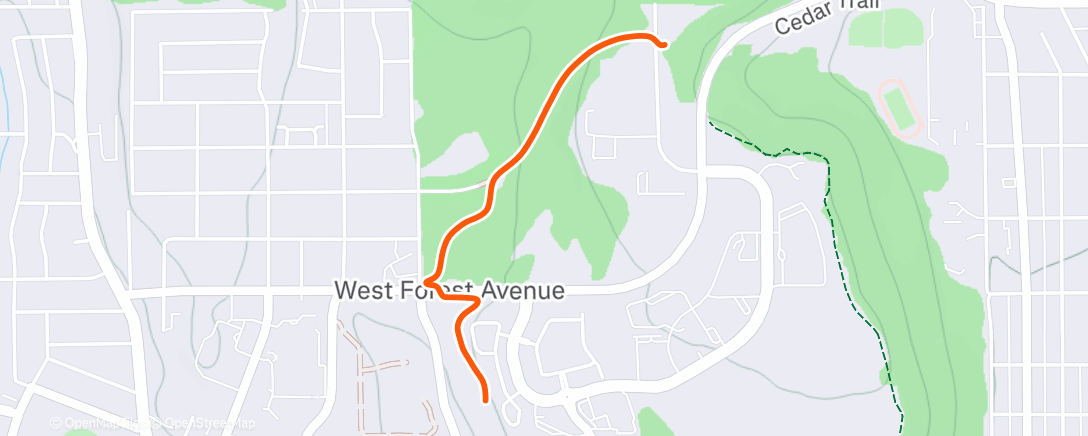 Карта физической активности (Afternoon Walk)