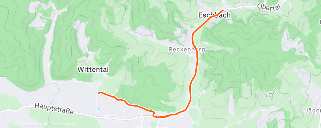 Карта физической активности (Lauf am Nachmittag)