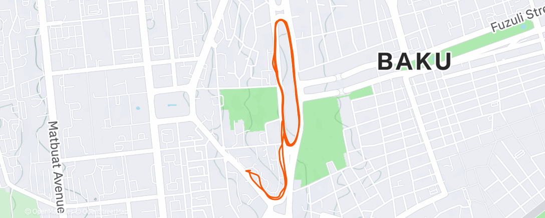 Карта физической активности (Вечерний забег)