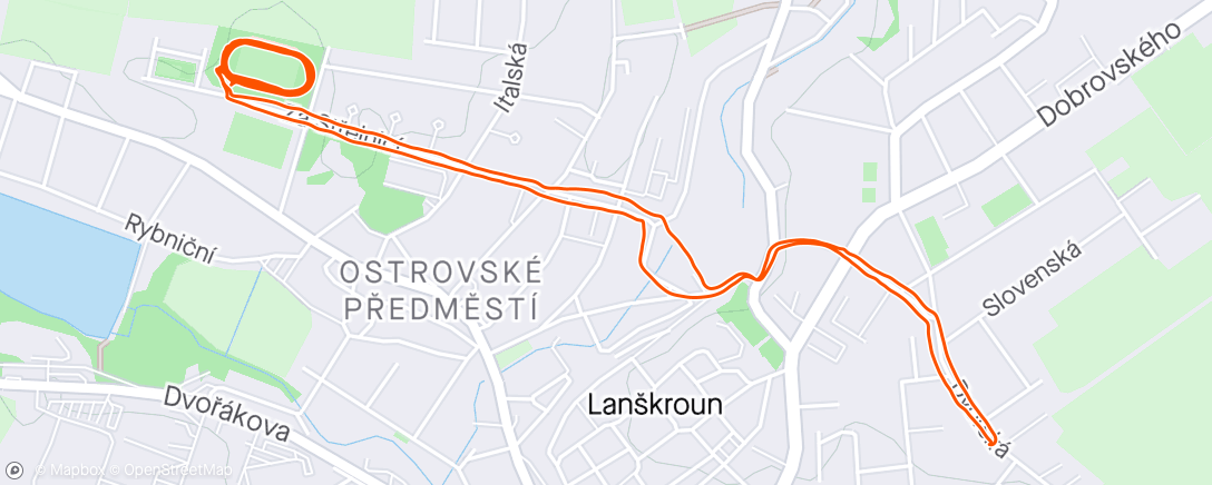 Карта физической активности (Lanškroun Run)
