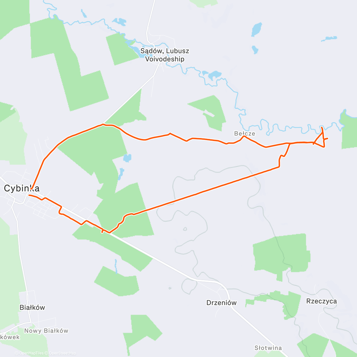 Карта физической активности (Ostatnie biegowe kilometry 2025)