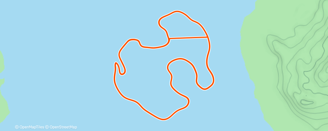 Карта физической активности (45 min Low Z2)