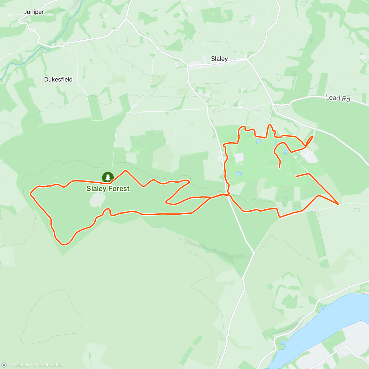 Map of the activity, Slayley Hall Half Marathon