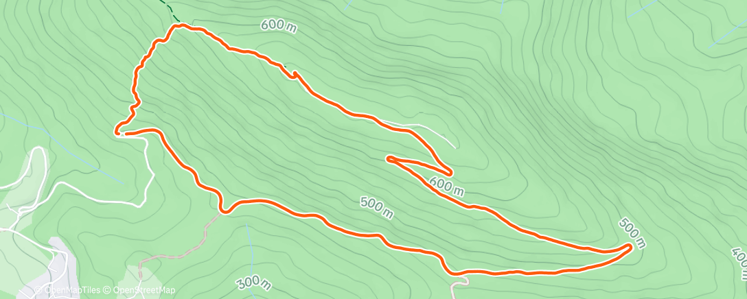 Map of the activity, Дневной забег