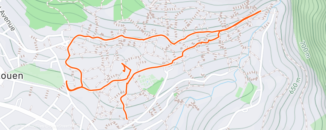 Карта физической активности (Chefchaouen Walk)